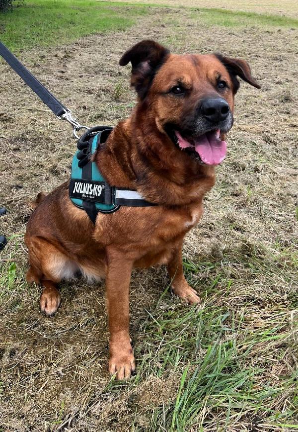 JONAS CAGNOLONE GENTILE Foto 2